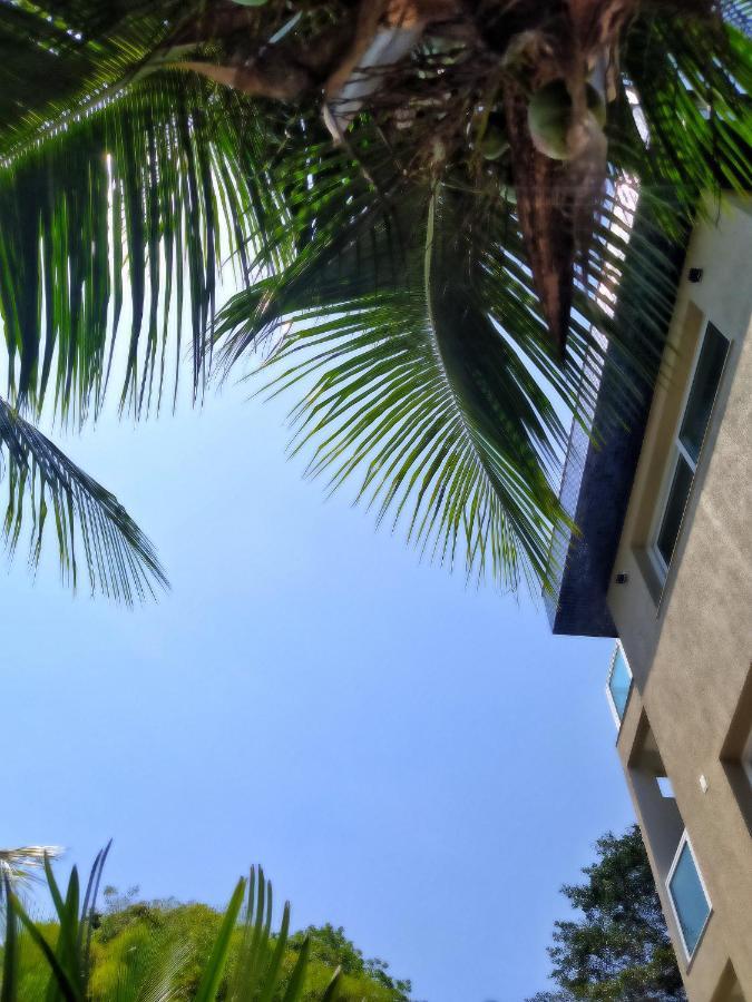 Pousada Vila Dos Mares Morro de São Paulo Exteriér fotografie